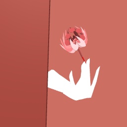-Roses-