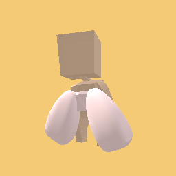 Your shirt