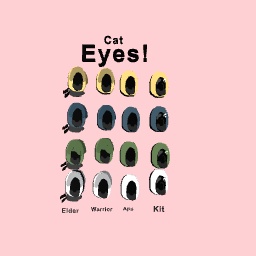Cat eyes - warrior cats