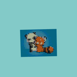 Red panda next to a normal panda