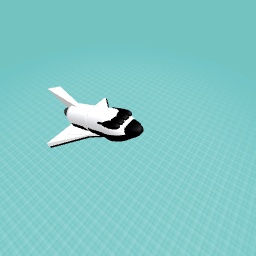 Space shuttle 2.0 (only space plane)