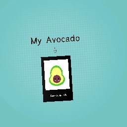 My Avocado !!