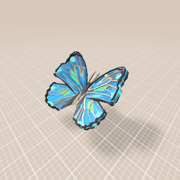butterfly