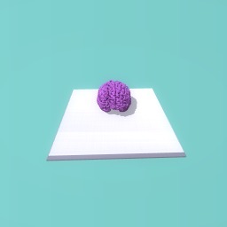 Brain