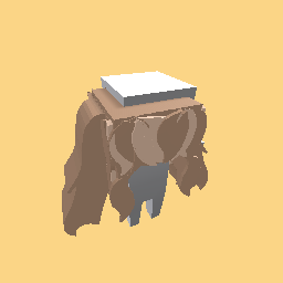 Brownish-Blondish Hair