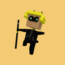 Cat noir