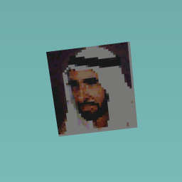 ﺪﻳاز ﺦﻴﺸﻟا