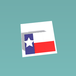 A TEXAS flag