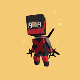 The ninja