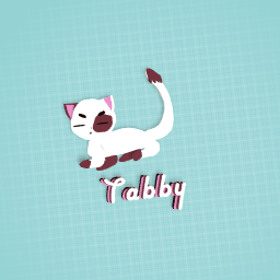 MEET TABBY