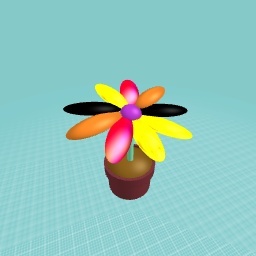 Diffrent color flower