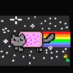Nyan cat! :D