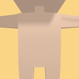 new costume