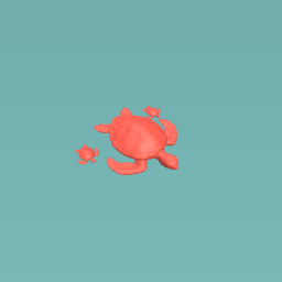 turtle