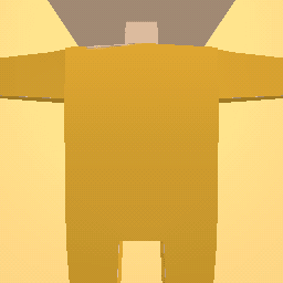 new costume