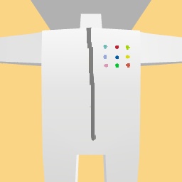 new costume