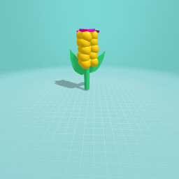 Corn-on-a-cob