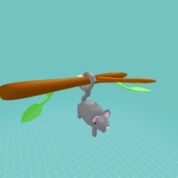 its……………. a possum