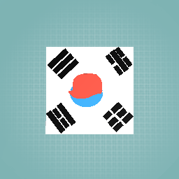 South korean flag challenge