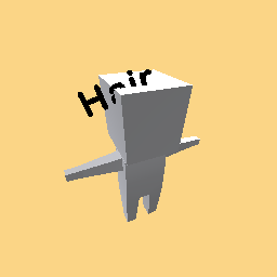 Hair