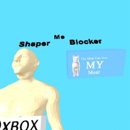 Me at Shaper vs Blocker