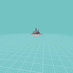 shark