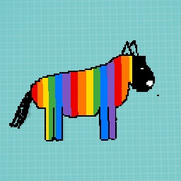 Rainbow horse!