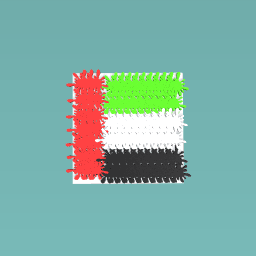 U.A.E Flag