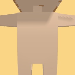 new costume