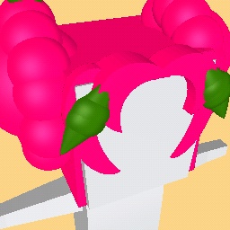 Hollyberry Cookie's Hair