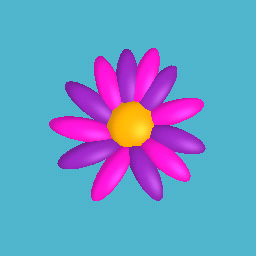 pretty  flower 🌼