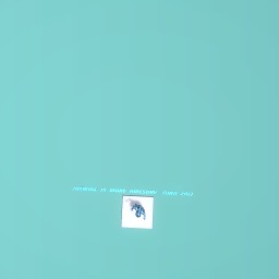 Jasmine is more awesome than zali