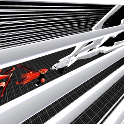 black vs whiet flash