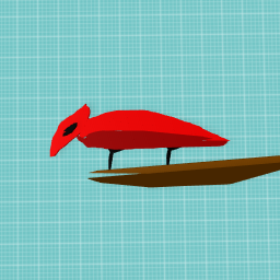 A bird
