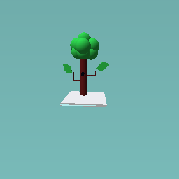 medium tree