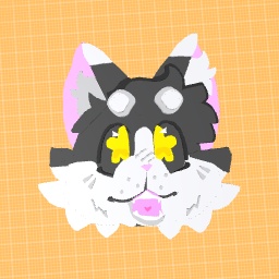 KITTY!!!