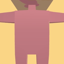 new costume