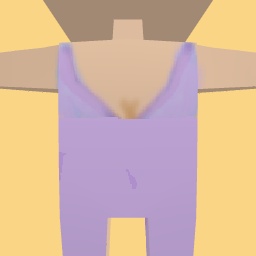 new costume copy