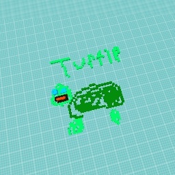 My turtle
