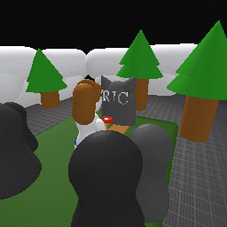 The day of the funeral: my first kitty