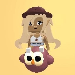 My dream adopt me pet and cloths