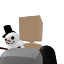 Pandagray45
