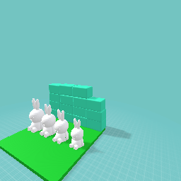 The bunny family
