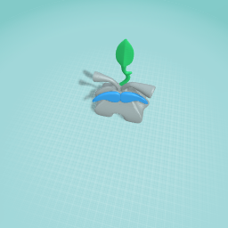 Aroha Mikalah Vanessa ...Coral Rm 11 L