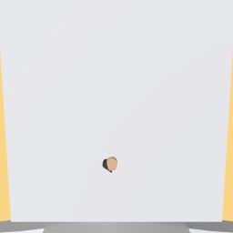 Nose