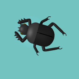 Scarab Beetle