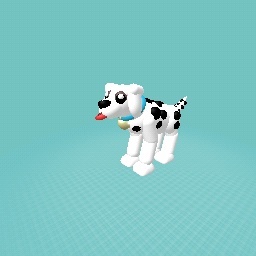 Dalmatian Dog