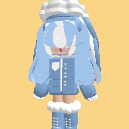 Winter Outfit (high price)