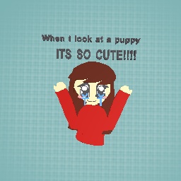 When I look at a puppy