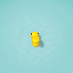 Duck head